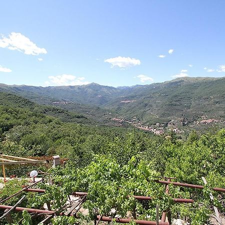 Agriturismo Nonni Devia Lucinasco Exterior foto